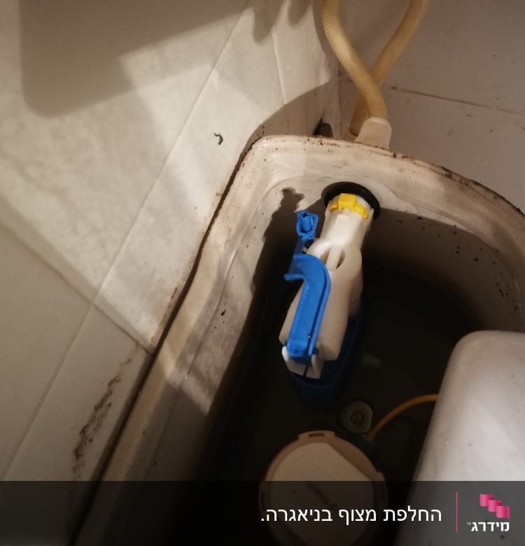מיכל שירותים עם מנגנון פלסטיק כחול ולבן